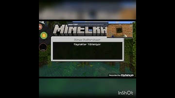 Toolbox Troll Omlet ARCADE.