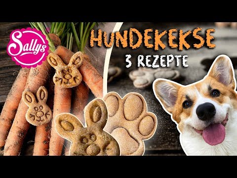 Video: Karottenplätzchen für Hunde