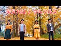 笑えれば/ウルフルズ(covered by しあわせ)