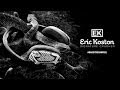 Eric koston signature series  skullcandy