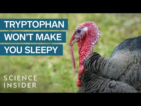 Why Thanksgiving Turkey Doesn’t Actually Make You Sleepy