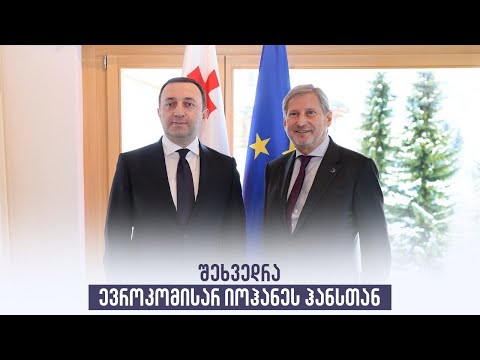 შეხვედრა ევროკომისარ იოჰანეს ჰანსთან