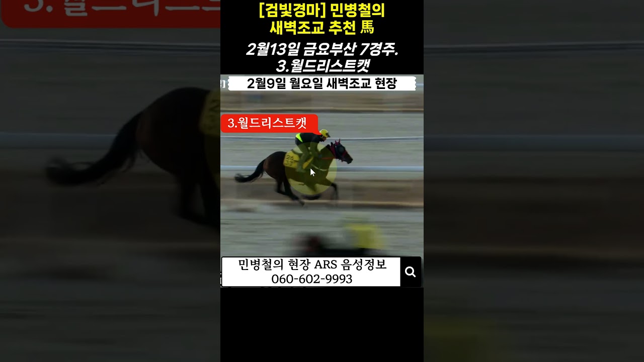 #2월13일 금요부산!민병철의 새벽조교 우수馬!