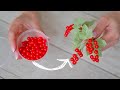 Making red CURRANT / Делаем красную СМОРОДИНУ ( ПАРЕЧКУ ) / DIY TSVORIC