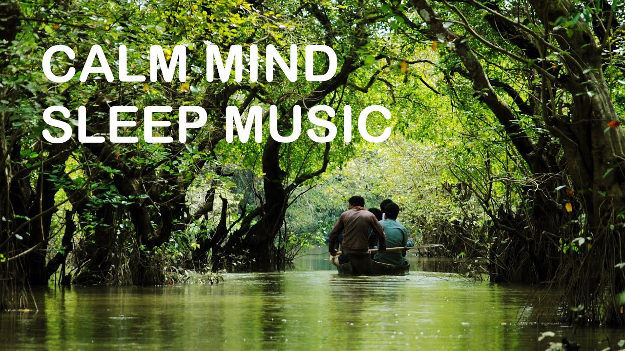 Relaxing Forest Nature Sounds | Music For Stress Relief Calm Mind ...