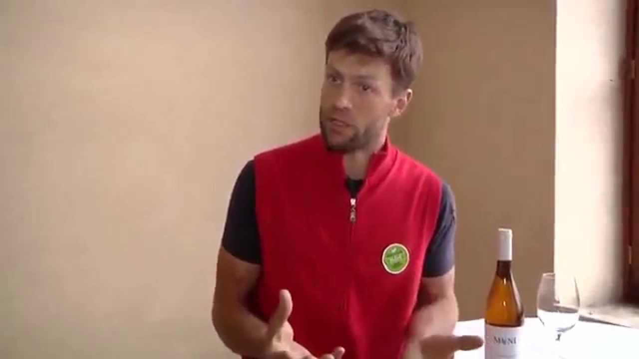 Il vino naturale di Daniele Piccinin