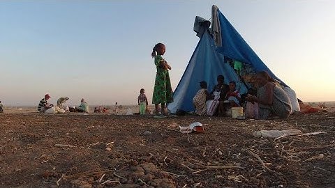 Fear of regional war grows after Eritrea is hit by Ethiopian TPLF forces