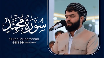 سورة محمد كاملة تلاوة رائعة بصوت بيشةوا قادر الكردي#رمضان_2022