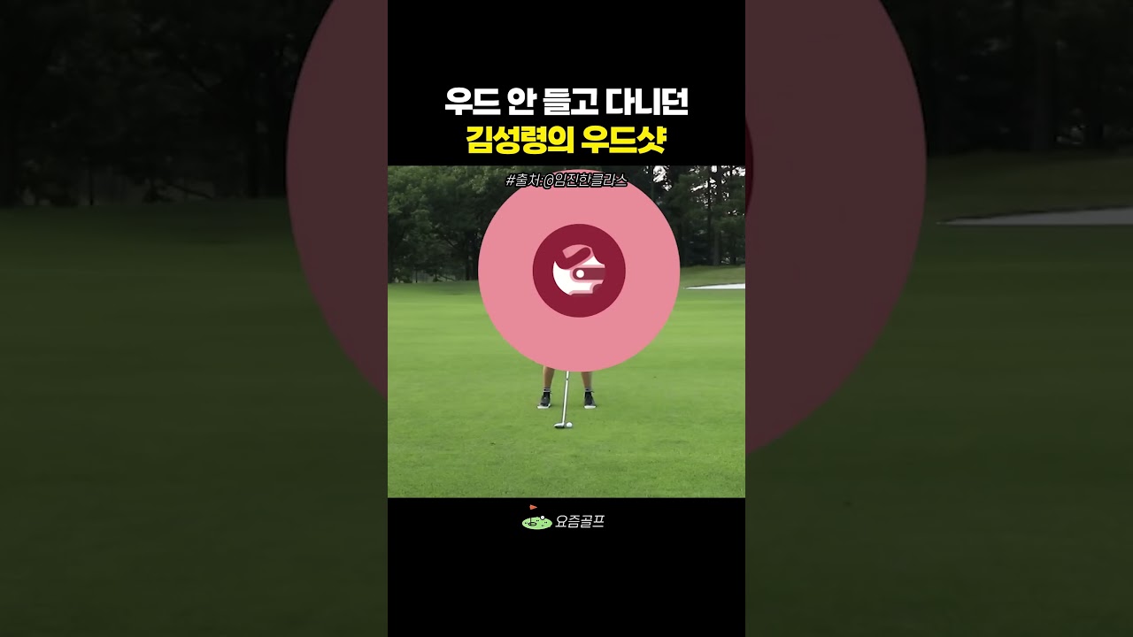 우드 안 들고 다니던 김성령의 우드샷