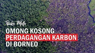 Omong Kosong Perdagangan Karbon di Borneo | Buka Mata