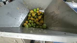 Industrial Small lemon Orange apples pineapple mango strawberry cucumber juice extractor machine