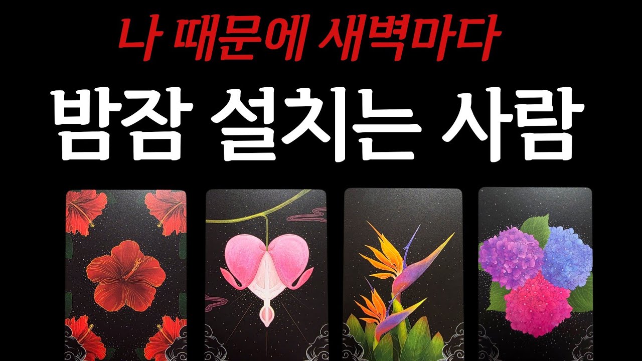 [타로] 조만간 나 좋다고 불도저 직진 고백할 사람💥 구페vs뉴페🌹연애 기류, 짝사랑