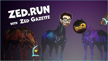 Live Footage + Interview of the Zed Run Mega Drop W/Zed Gazette