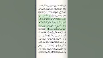 قرآن مجید | سوره بقره | آیات 228 | #قرآن | #بقره | #شلوارک | #اسلام
