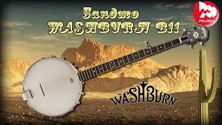 Банджо WASHBURN B11 (Banjo Playing by Aleksey Chudinov)