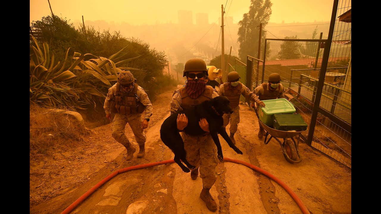 Quilpué: Incendios forestales obligan a evacuar a 25 mil personas