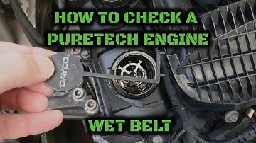 How to check a PureTech Engine Wet Belt
