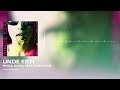 Raoul Russu vs Alina Jais - Unde Esti (Audio State Remix)