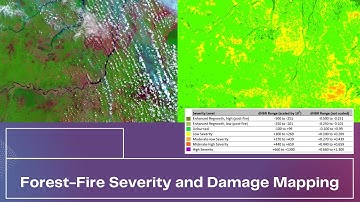 Forest Fire Damage Analysis Using Satellite Imagery and ArcGIS