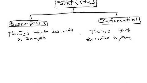 2023 Introduction to Statistics