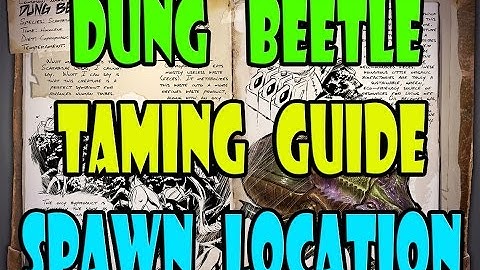 ARK: Survival Evolved - Dung Beetle Taming GUIDE - Spawn Location - TAME GUIDE - Users Guide