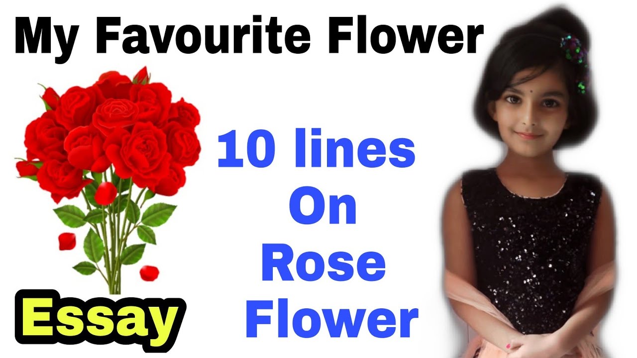 essay on rose flower for class 2 in urdu