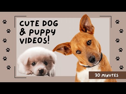 30 Minutes of