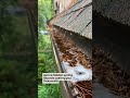 Spring Property Hazards in North Carolina