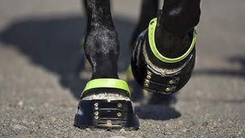 Scoot Boots - The Video