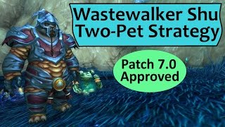 Wastewalker Shu 2 Pet Strategy - Legion 7.0 Update screenshot 1