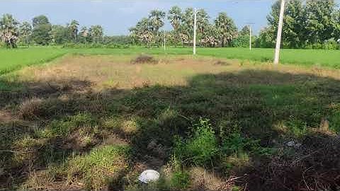 Plot For Sale in Rajgir near Bihar Police Academy