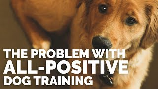 The Problem with AllPositive Dog Training