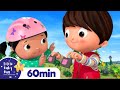 No No No Play Safe in the Playground Song | +More Nursery Rhymes and Kids Songs | Little Baby Bum