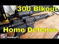 300 AAC Blackout for Home Defense?  Maybe!