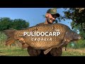 Carpfishing Croacia | como si de un sueño se tratara | TOUR OF EUROPE - E2