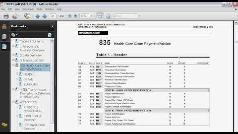 Programming an EDI Translator