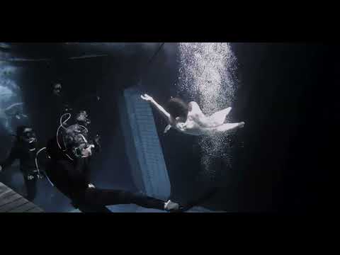 Video: The world of underwater photography