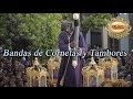 Semana santa 2024  bandas de cornetas y tambores  marchas procesionales del mundo cofrade