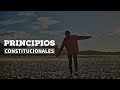 Principios Constitucionales - Constitución Política (Colombia) - Hablando Jurídicamente