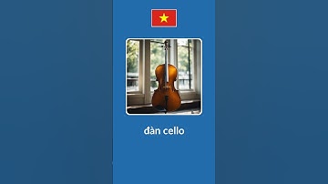 Music Instruments in Vietnamese #learnvietnamese