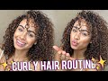 Curly Hair Routine using MIXED CHICKS Products