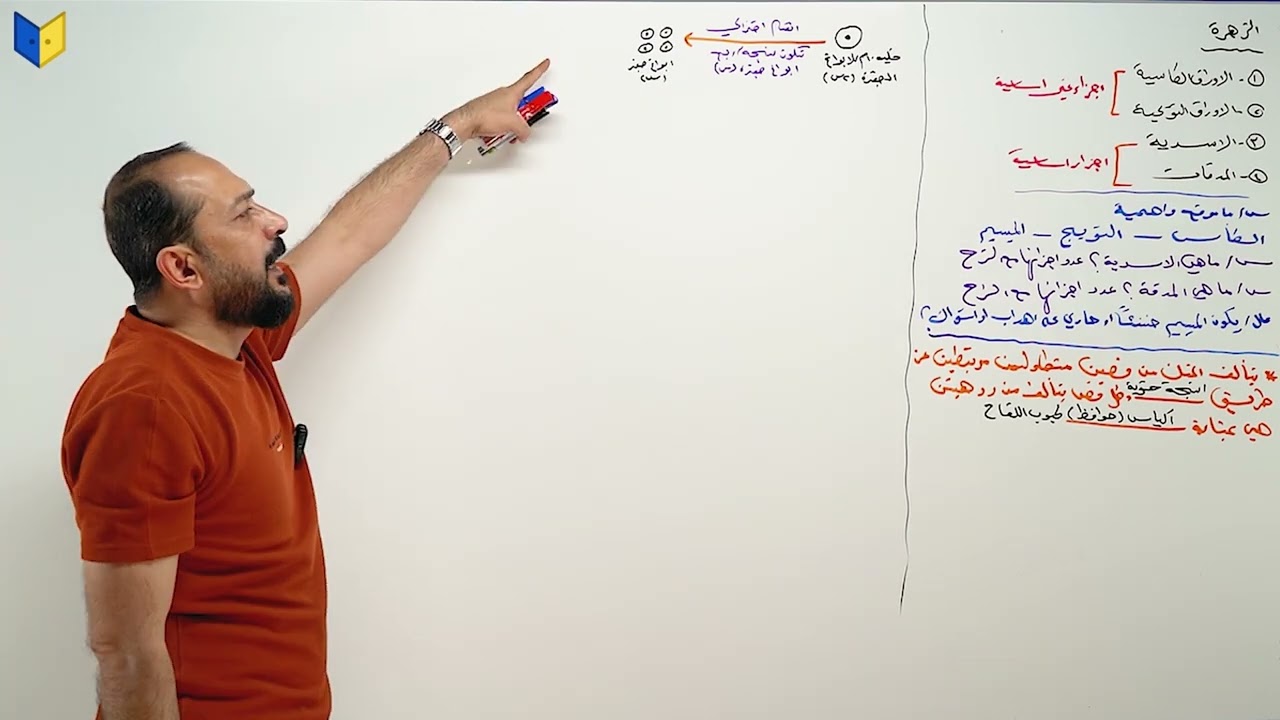 المراجعة المركزة - الفصل الثالث الجزء الثاني