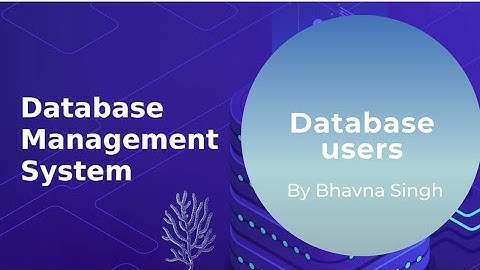 Database Management System users / DBMS users in hindi (class 2)