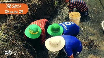 TÁT AO BẮT CÁ ĂN TẾT 2017 - TẬP 2 - CỰC ĐÃ