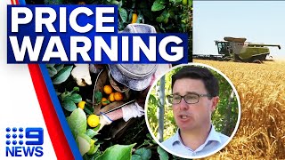 Fruit and vegetable prices to increase | 9 News Australia