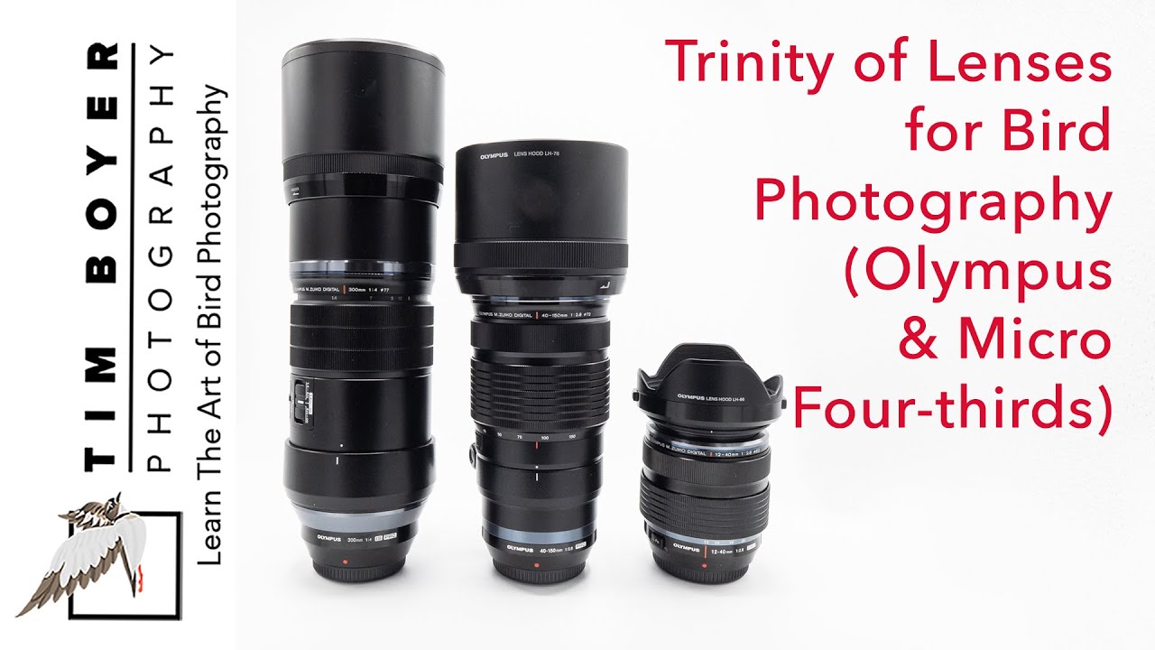 Trinity Of Lenses For Bird Photography Olympus Micro 4 3 s YouTube Trinity Of Lenses For Bird Photography Olympus Micro 4 3 s YouTube