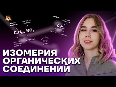 Изомерия органических соединений | Химия ЕГЭ 10 класс | Умскул