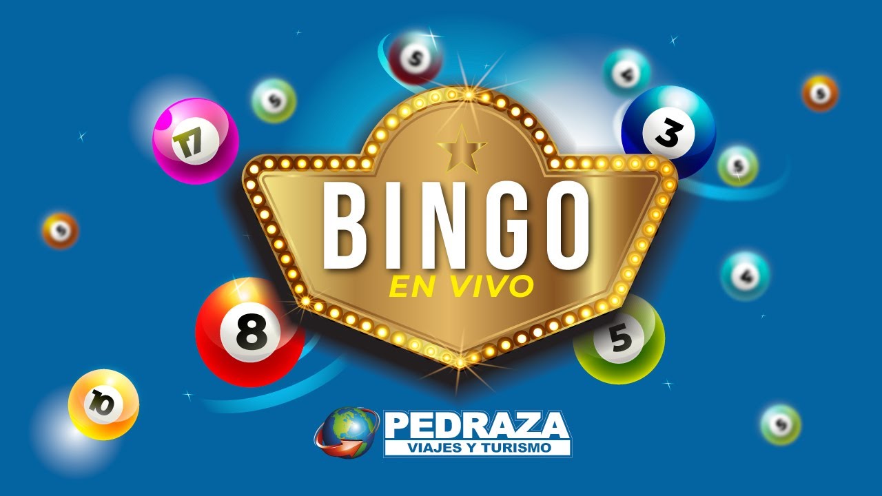 Bingo en Vivo