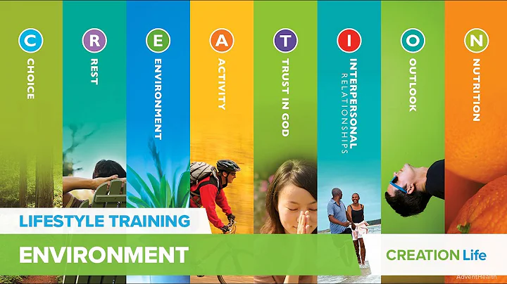 Lifestyle Training - Environment - DayDayNews