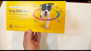 Find your Dog Breed Makeup 98% Accuracy Embark Ancestry DNA Test,     Relative Finder & Family Tree!
